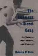 The American street gang : its nature, prevalence, and control 