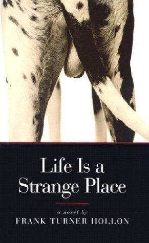 Life is a strange place : a novel 