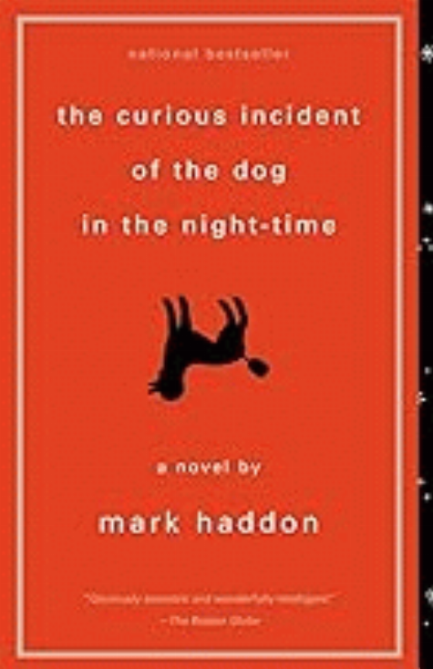 Book Club Kit : The curious incident of the dog in the night-time (10 copies)
