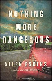 Nothing more dangerous : a novel Book cover