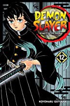 Demon slayer = Kimetsu no yaiba. Volume 12, The upper ranks gather  Cover Image