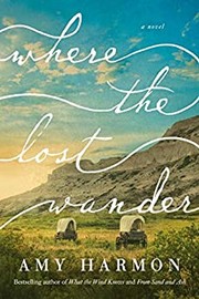 Book Club Kit : Where the lost wander (10 copies) Cover Image
