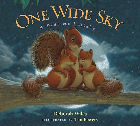 One wide sky : a bedtime lullaby / Deborah Wiles ; illustrated by Tim Bowers.