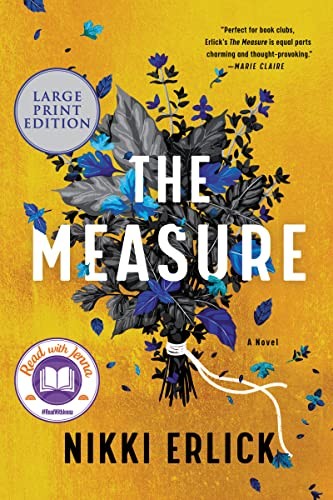The measure : a novel 