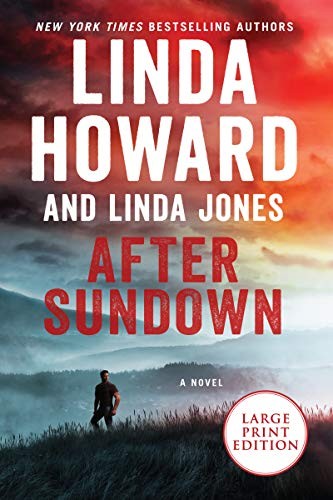 After sundown : a novel 