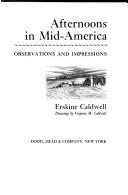 Afternoons in Mid-America : observations and impressions  Cover Image