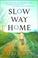 Go to record Slow way home : a novel