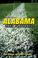Go to record Tales from Alabama prep football